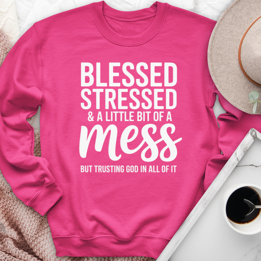 Blessed Stressed & A Little Bit Of A Mess Crewneck