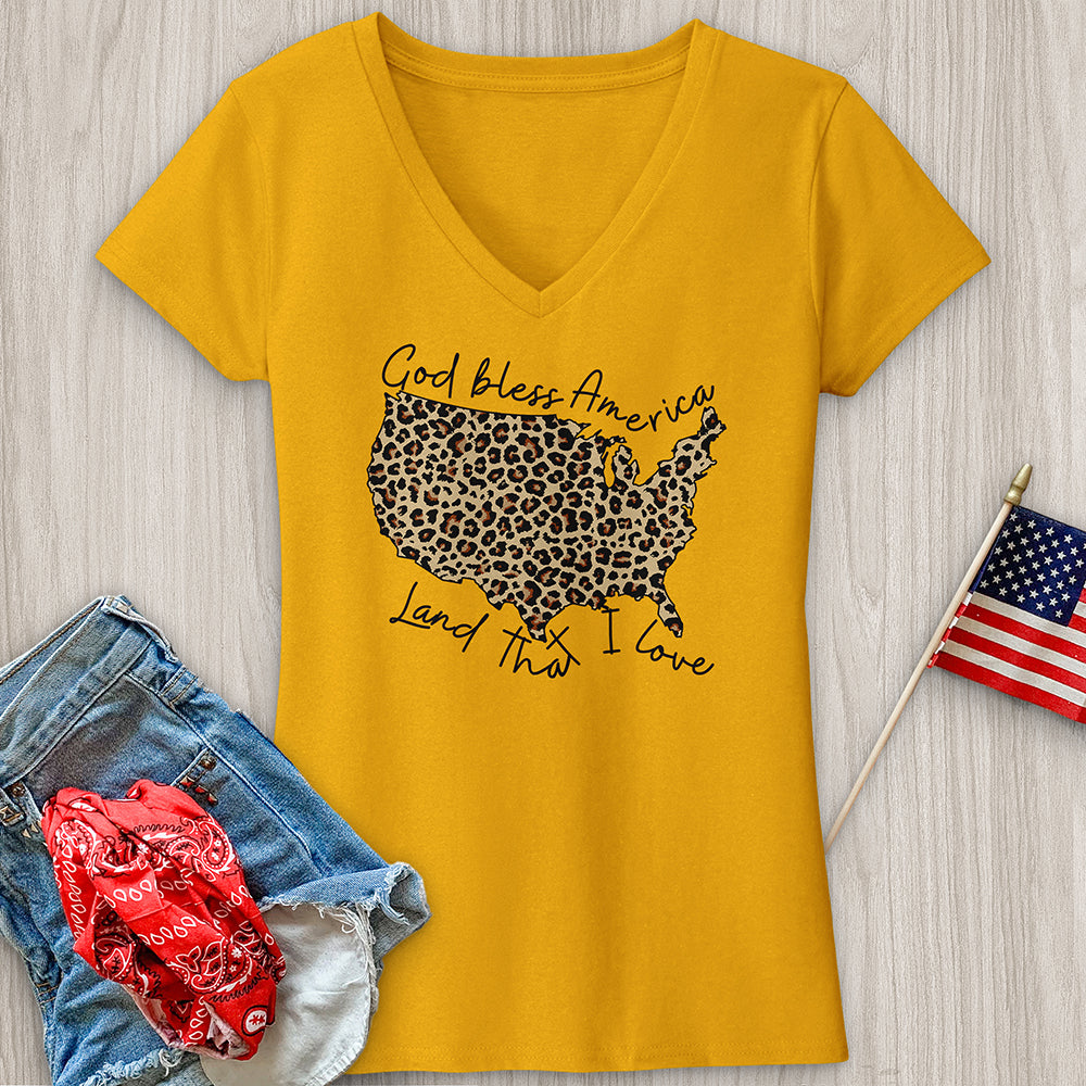 Leopard Print V-Neck Tee