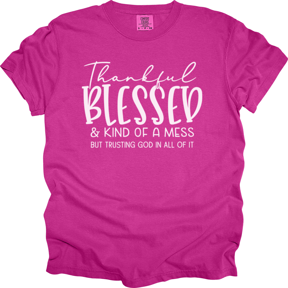 Thankful Blessed & Kind Of A Mess Heavy Cotton Comfort Colors Tee