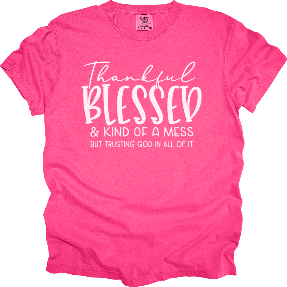 Thankful Blessed & Kind Of A Mess Heavy Cotton Comfort Colors Tee