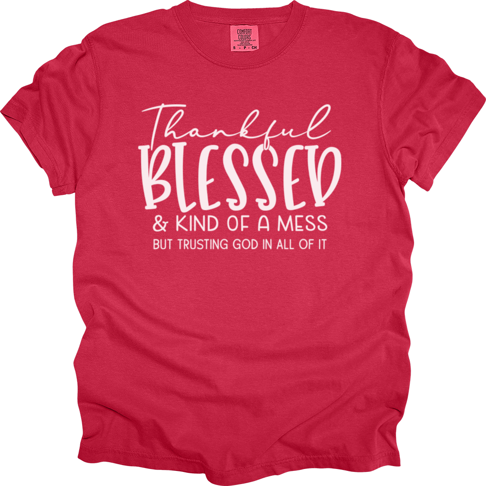 Thankful Blessed & Kind Of A Mess Heavy Cotton Comfort Colors Tee