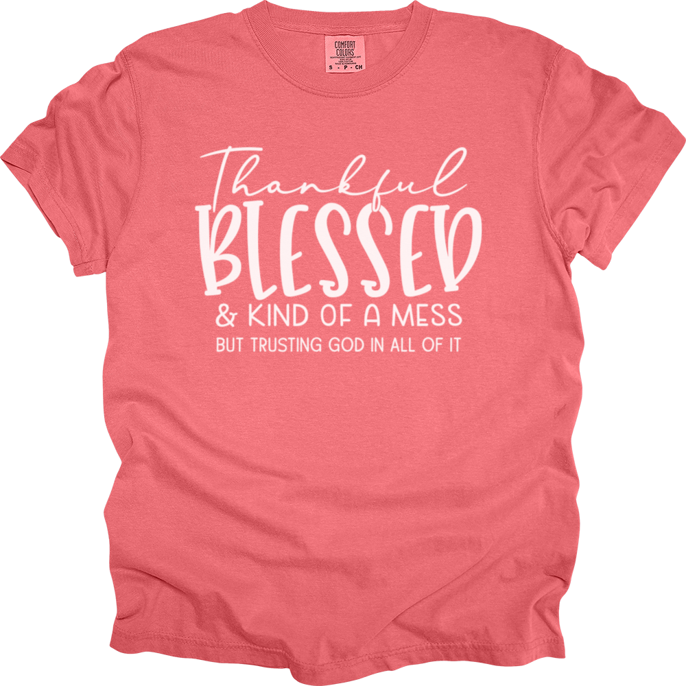 Thankful Blessed & Kind Of A Mess Heavy Cotton Comfort Colors Tee