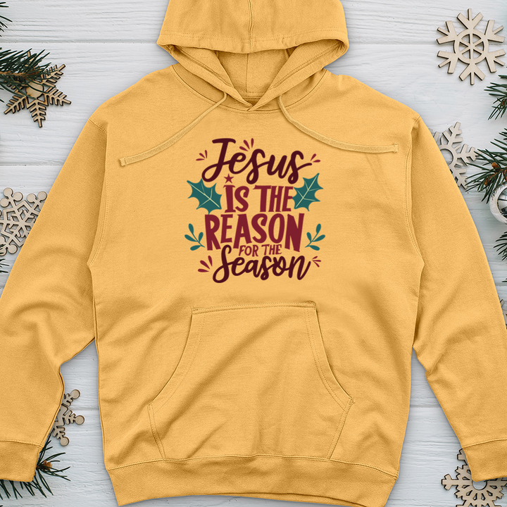 Jesus is the Reason for the Season 2 Midweight Hooded Sweatshirt